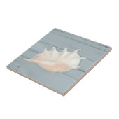 Beach Nautic Seashell Conch Tropical Blue Wood Tegeltje (Zijkant)