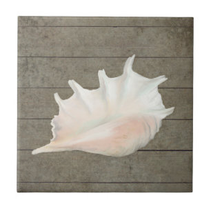 Beach Nautic Seashell Conch Tropical Island Wood Tegeltje