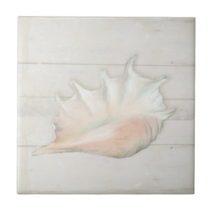 Beach Nautic Seashell Conch Tropical White Wood Tegeltje