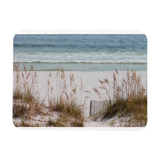 Beach, Ocean, Grass Magneet (Horizontaal)