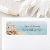 Beach Ocean Tropical Shells Weddenrenadres Etiket (Insitu)