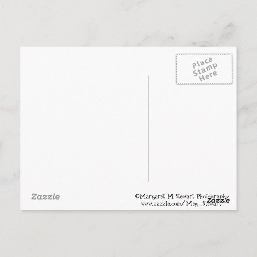 Beach on Earth Briefkaart (Achterkant)