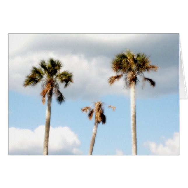 Beach Palm Trees (Voorkant Horizontaal)