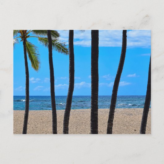 Beach Palms - Hawaii - Briefkaart (Voorkant)