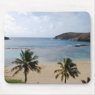 Beach Paradise Muismat