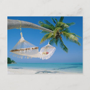 Beach Paradise Vacation Hammock Briefkaart