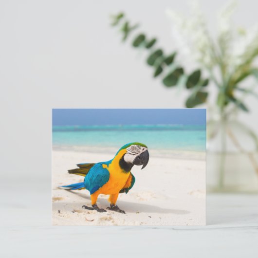 Beach Parrot Briefkaart (Staand voorkant)