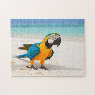 Beach Parrot Legpuzzel