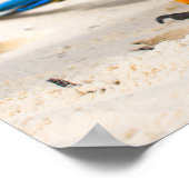 Beach Parrot Poster (Hoek)