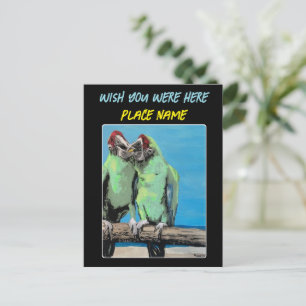 'Beach Parrots' Schilderij op een Briefkaart