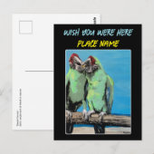 'Beach Parrots' Schilderij op een Briefkaart (Voorkant / Achterkant)