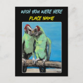 'Beach Parrots' Schilderij op een Briefkaart (Voorkant)
