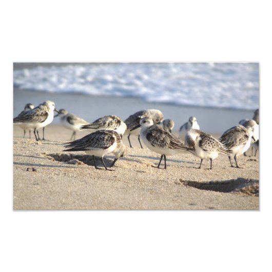 Beach Party. Sebastian Inlet. Foto Afdruk (Voorkant)