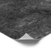 Beach Path Poster (Hoek)