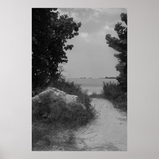 Beach Path Poster (Voorkant)