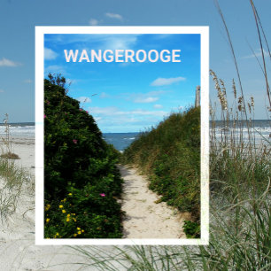 Beach Path, Sand Dunes, Wangerooge, East Frisia Briefkaart
