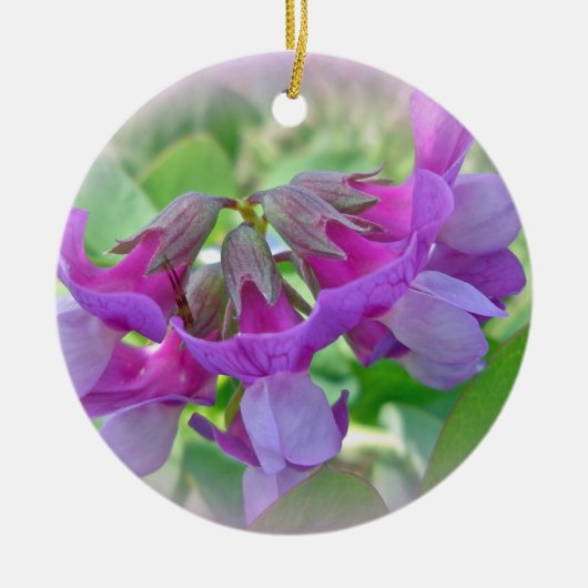 Beach Pea - Lathyrus japonicus - Wilde bloem Keramisch Ornament (Voorkant)