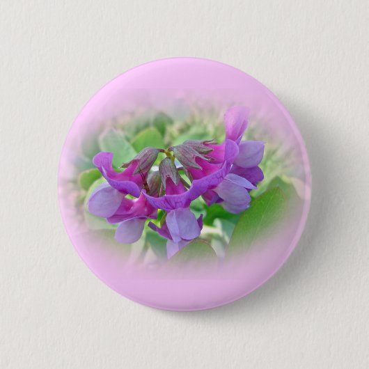 Beach Pea - Lathyrus japonicus - Wilde bloem Ronde Button 5,7 Cm (Voorkant)