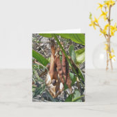 Beach Pea Seed Pods Note Kaart (Gele Bloem)