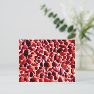 BEACH PEBBLES BRIEFKAART