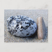 Beach Pebbles Briefkaart (Voorkant)
