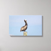 Beach Pelican Gevist Canvas Fotografie (Voorkant)