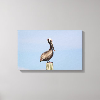 Beach Pelican Gevist Canvas Fotografie Afdruk