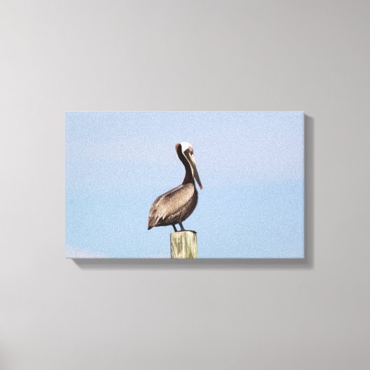 Beach Pelican Gevist Canvas Fotografie Afdruk (Voorkant)