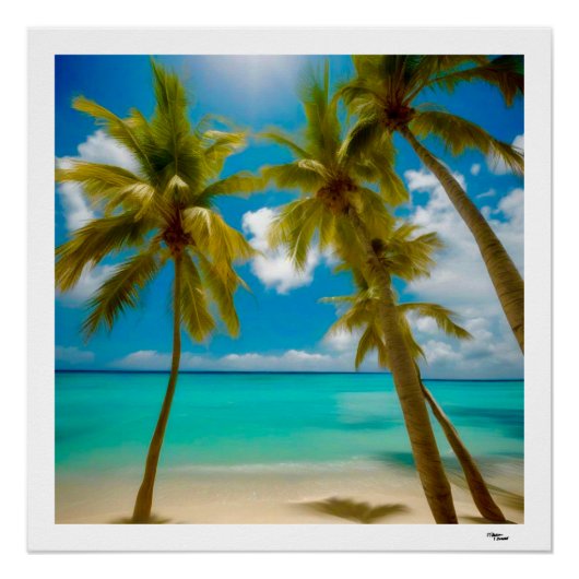 Beach Perfect Poster (Voorkant)