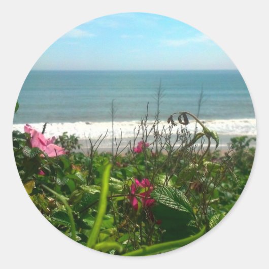 Beach Plum Beach Bum Ronde Sticker (Voorkant)