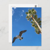 Beach Post Kaart (Voorkant / Achterkant)