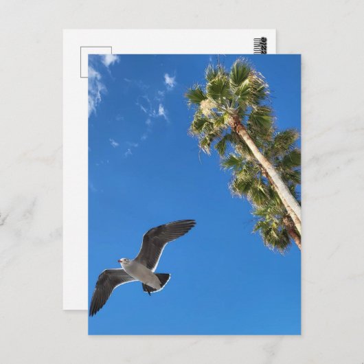 Beach Post Kaart (Voorkant / Achterkant)