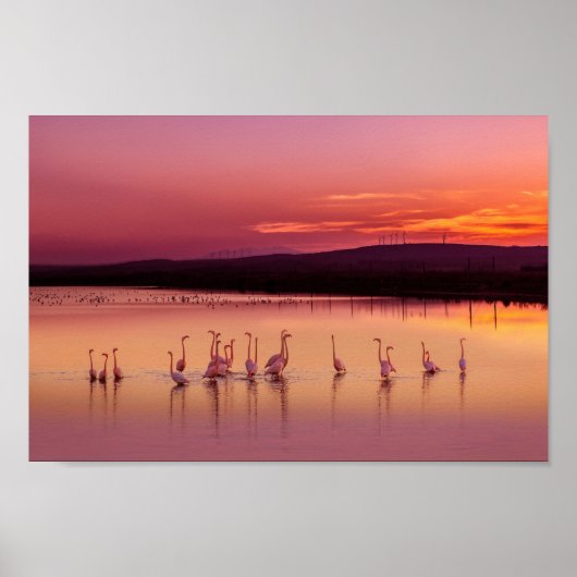 Beach poster (Voorkant)