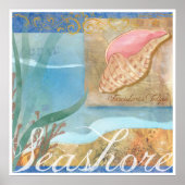 Beach Poster IV, "Seashore with Tulip Shell" (Voorkant)