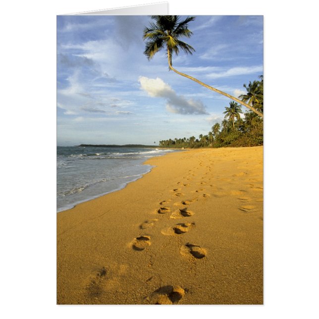 Beach Puerto Rico (Voorkant)