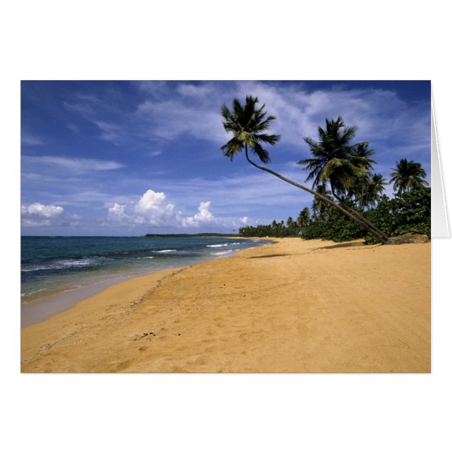 Beach Puerto Rico 2 (Voorkant Horizontaal)