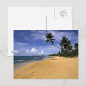 Beach Puerto Rico 2 Briefkaart (Voorkant / Achterkant)