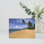 Beach Puerto Rico 2 Briefkaart (Staand voorkant)