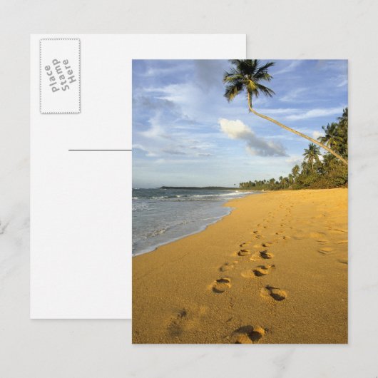 Beach Puerto Rico Briefkaart (Voorkant / Achterkant)