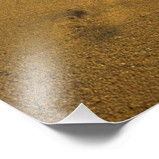 Beach Puerto Rico Foto Afdruk (Hoek)