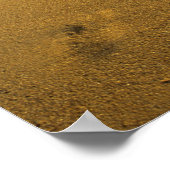 Beach Puerto Rico Poster (Hoek)