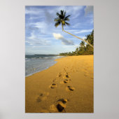 Beach Puerto Rico Poster (Voorkant)