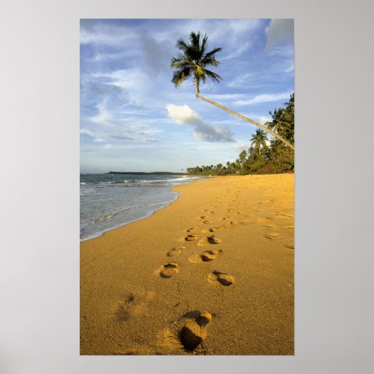 Beach Puerto Rico Poster (Voorkant)