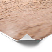 Beach Puggy Perfect Poster (Hoek)