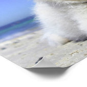 Beach Puppy Dog Fluffy White Animal Summer Photogr Poster (Hoek)