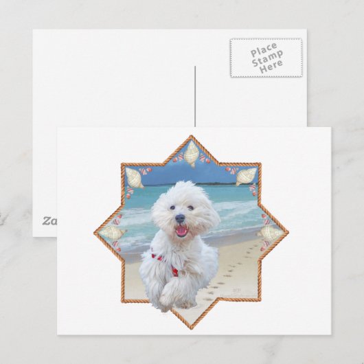 Beach run briefkaart (Voorkant / Achterkant)