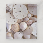 Beach Sand Dollar and Blauwgroen Coral Table Numbe Plaatskaartje (Binnenkant ongevouwen)