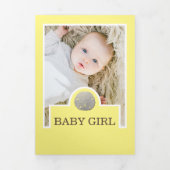 Beach Sand Dollars, 6 Fotocollage Baby Geboorte Drieluik Aankondiging (Cover)