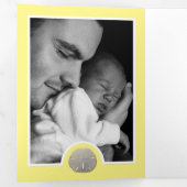 Beach Sand Dollars, 6 Fotocollage Baby Geboorte Drieluik Aankondiging (Binnenzijde eerst)