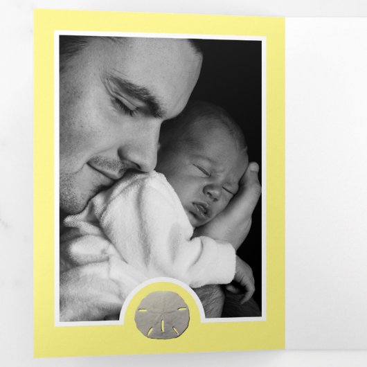 Beach Sand Dollars, 6 Fotocollage Baby Geboorte Drieluik Aankondiging (Binnenzijde eerst)